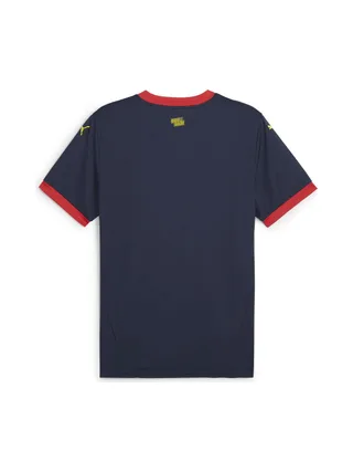 Girona FC Maillot Extérieur Homme Puma 24/25 2