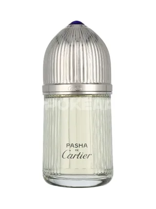 Cartier Pasha Edt Spray 100ml 2
