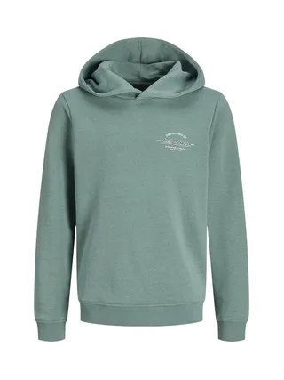 Sweat Vert Garçon Jack & Jones Brandon 1