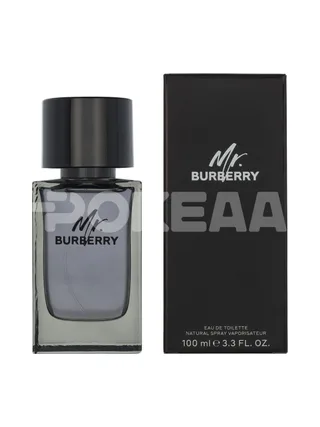 Burberry Mr. Burberry Edt Spray 100ml 1
