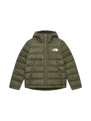 Doudoune Kaki Garçon The North Face Never Stop 1