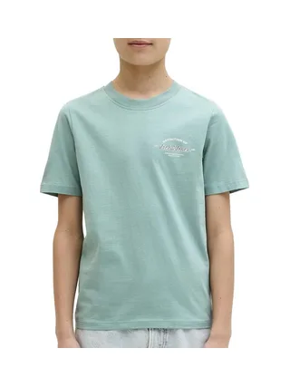 T-Shirt Bleu Garçon Jack & Jones Brandon 1