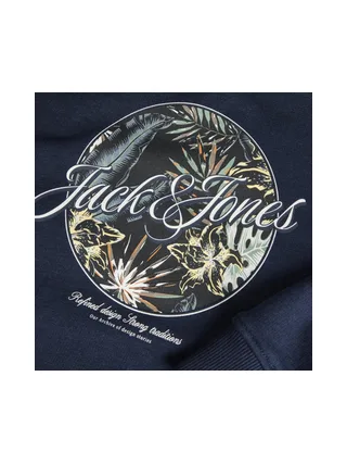 Sweat à Capuche Marine Garçon Jack & Jones Lulu 3