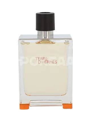 Hermes Terre D'Hermes Edt Spray 200ml 2