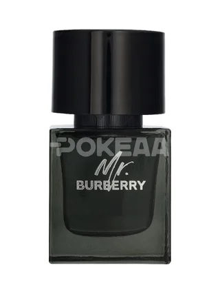 Burberry Mr. Burberry Edp Spray 50ml 2