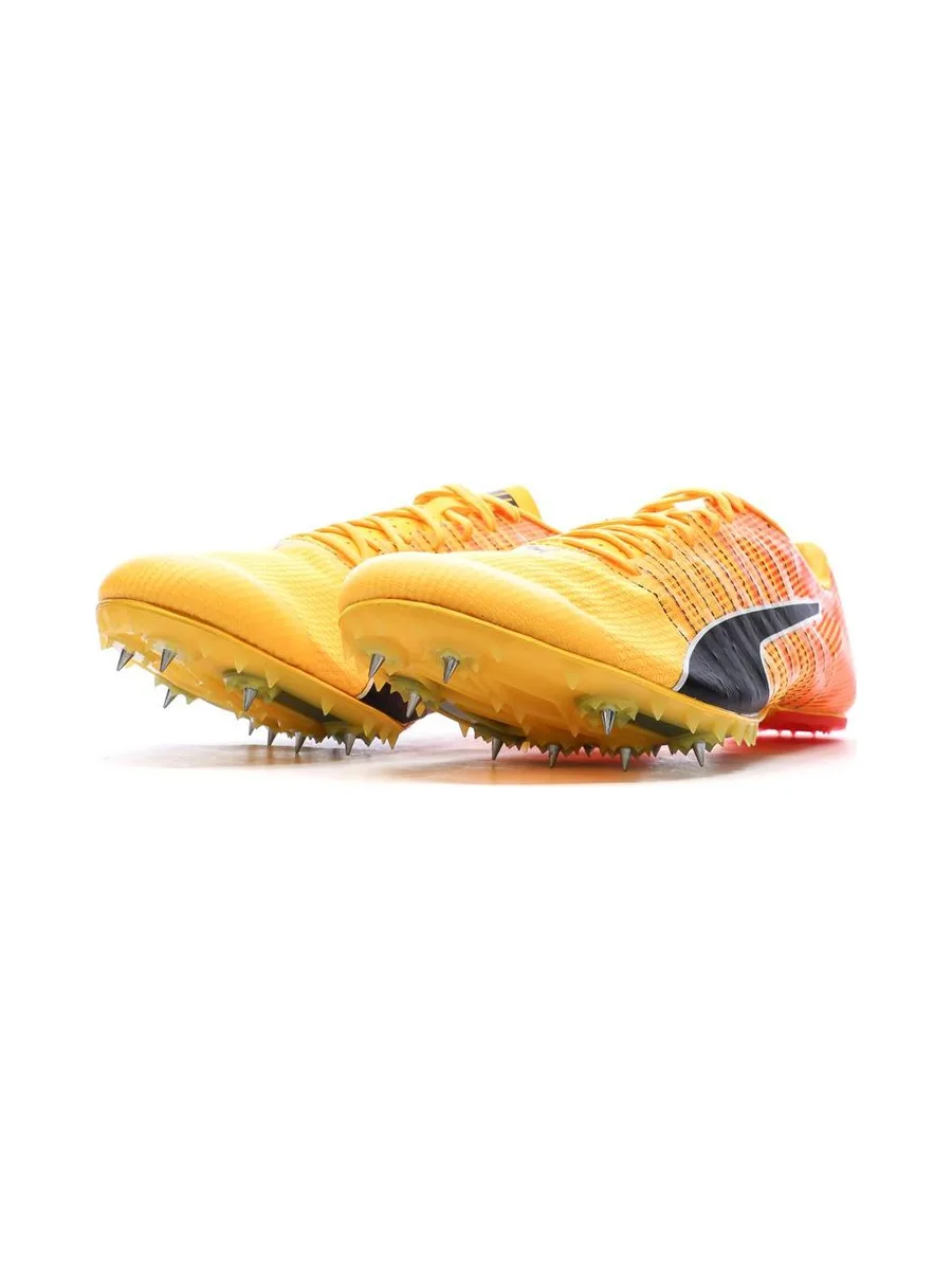 Chaussures d'athlétismes Orange Homme Puma Evospeed Future 6 7