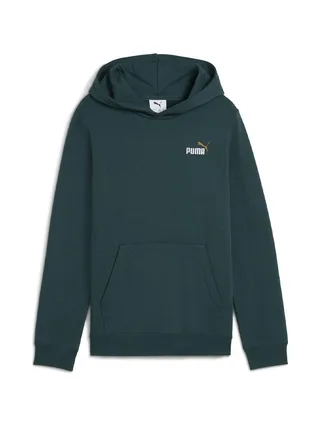 Sweat Vert Garçon Puma 685825 1
