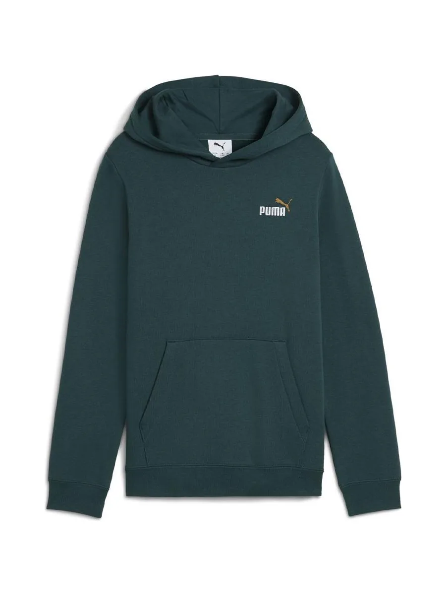 Sweat Vert Garçon Puma 685825 2