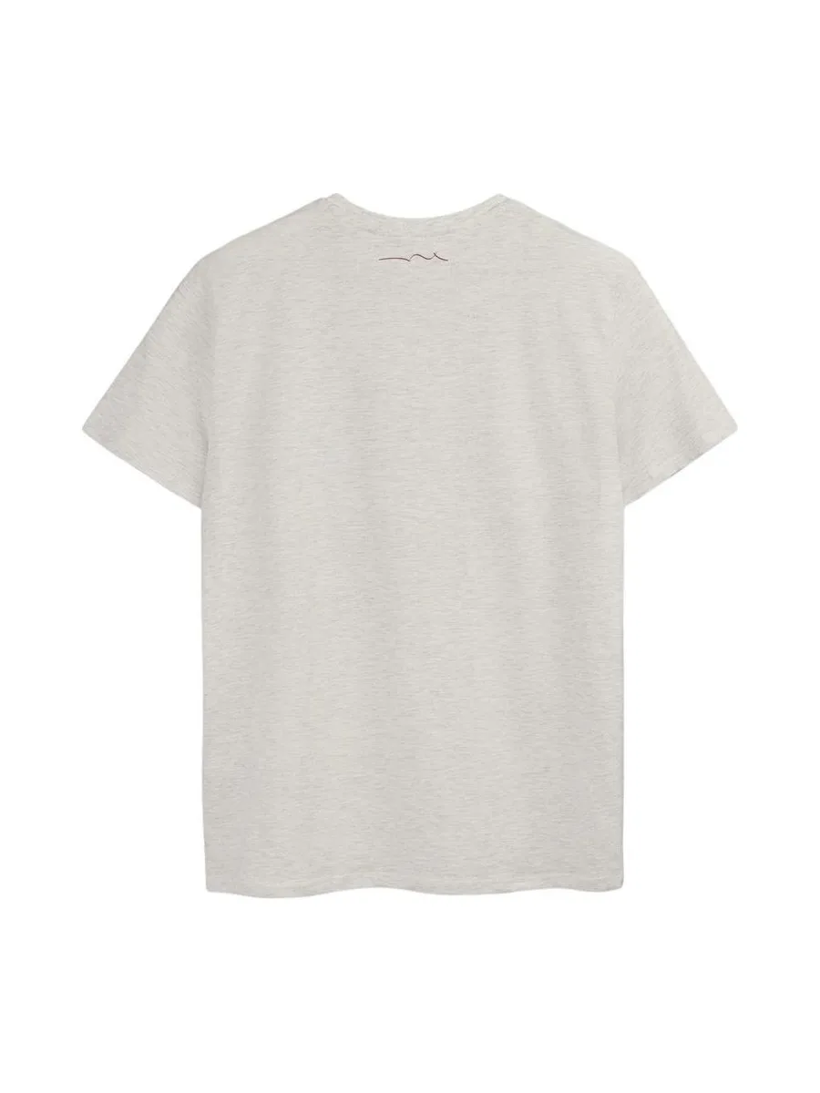 T-shirt Gris Chiné Homme Teddy Smith Total 1 3