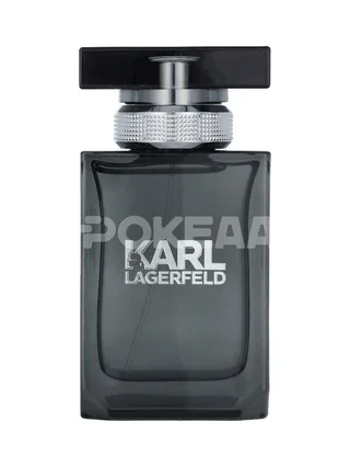 Karl Lagerfeld Pour Homme Edt Spray 50ml 2