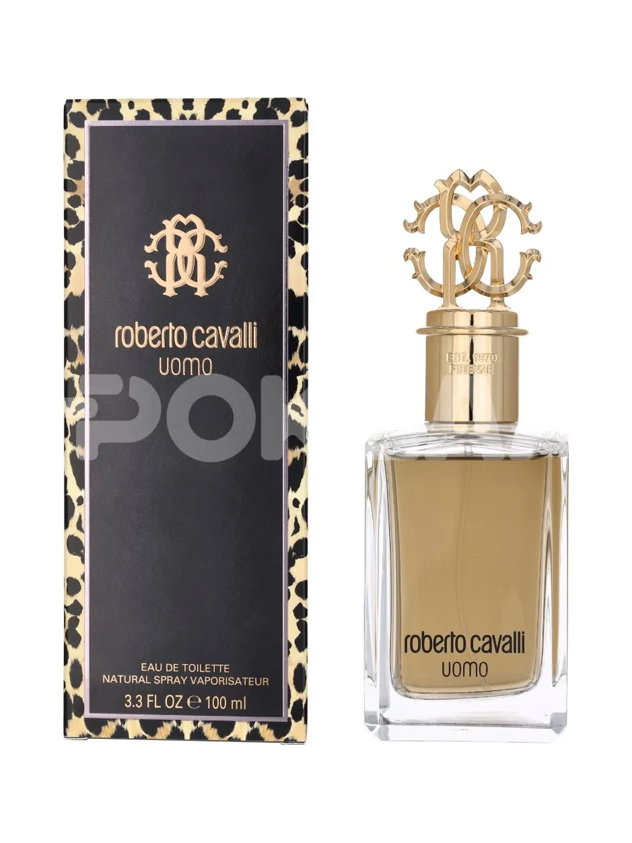 Roberto Cavalli Uomo Edt Spray 100ml 1