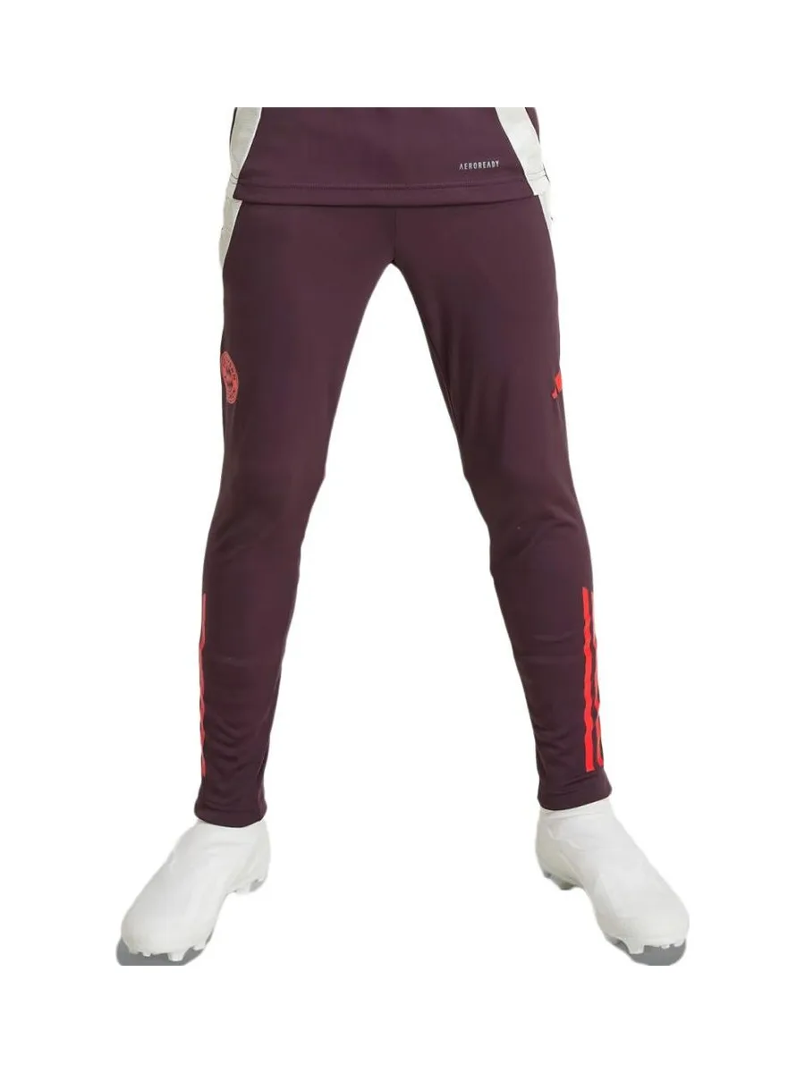 Bayern Munich Pantalon Training Bordeaux Junior Adidas Tiro 24 2