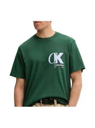 T-shirt Vert Homme Calvin Klein Jeans Ss 20s Eu 1