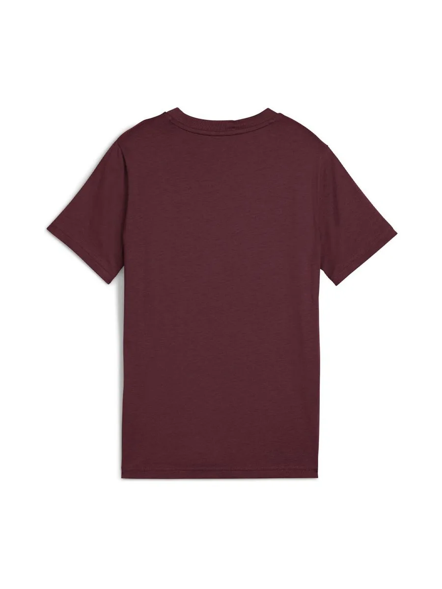 T-shirt Bordeaux Garçon Puma Ess 2 Color 3