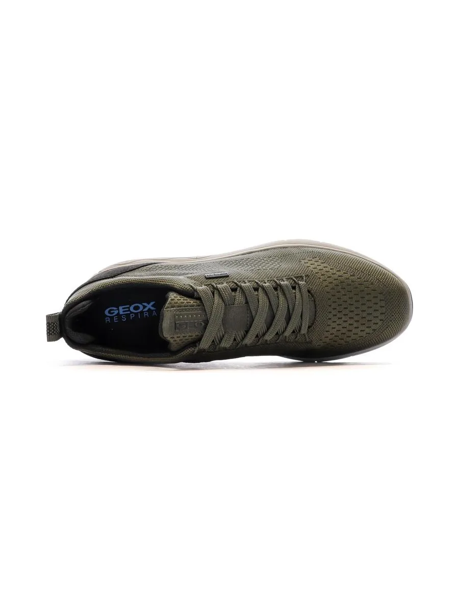 Baskets Kaki Homme Geox Sepherica 5
