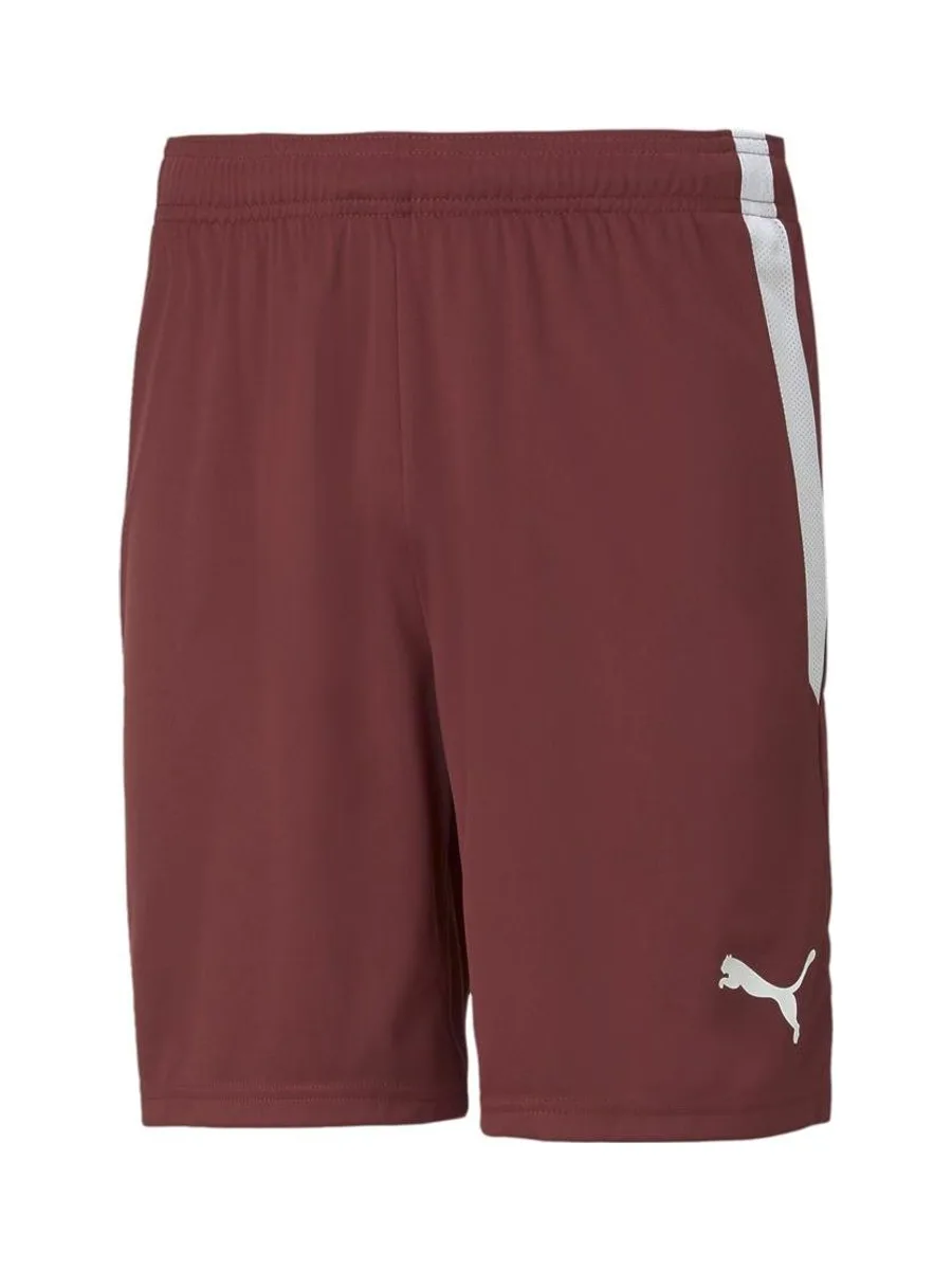 Short de Sport Rouge Homme Puma Teamliga 2