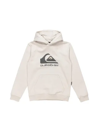 Sweat à Capuche Gris Garçon Quiksilver Big logo 1