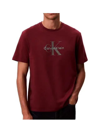 T-Shirt Bordeaux Homme Calvin Klein Jeans Hero LV04RB862G 1