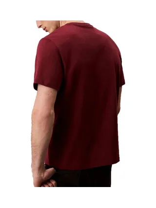 T-Shirt Prune Homme Calvin Klein Jeans Easy LV04RC275G 2