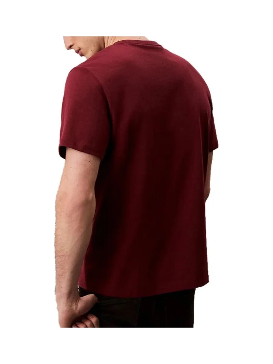 T-Shirt Prune Homme Calvin Klein Jeans Easy LV04RC275G 3