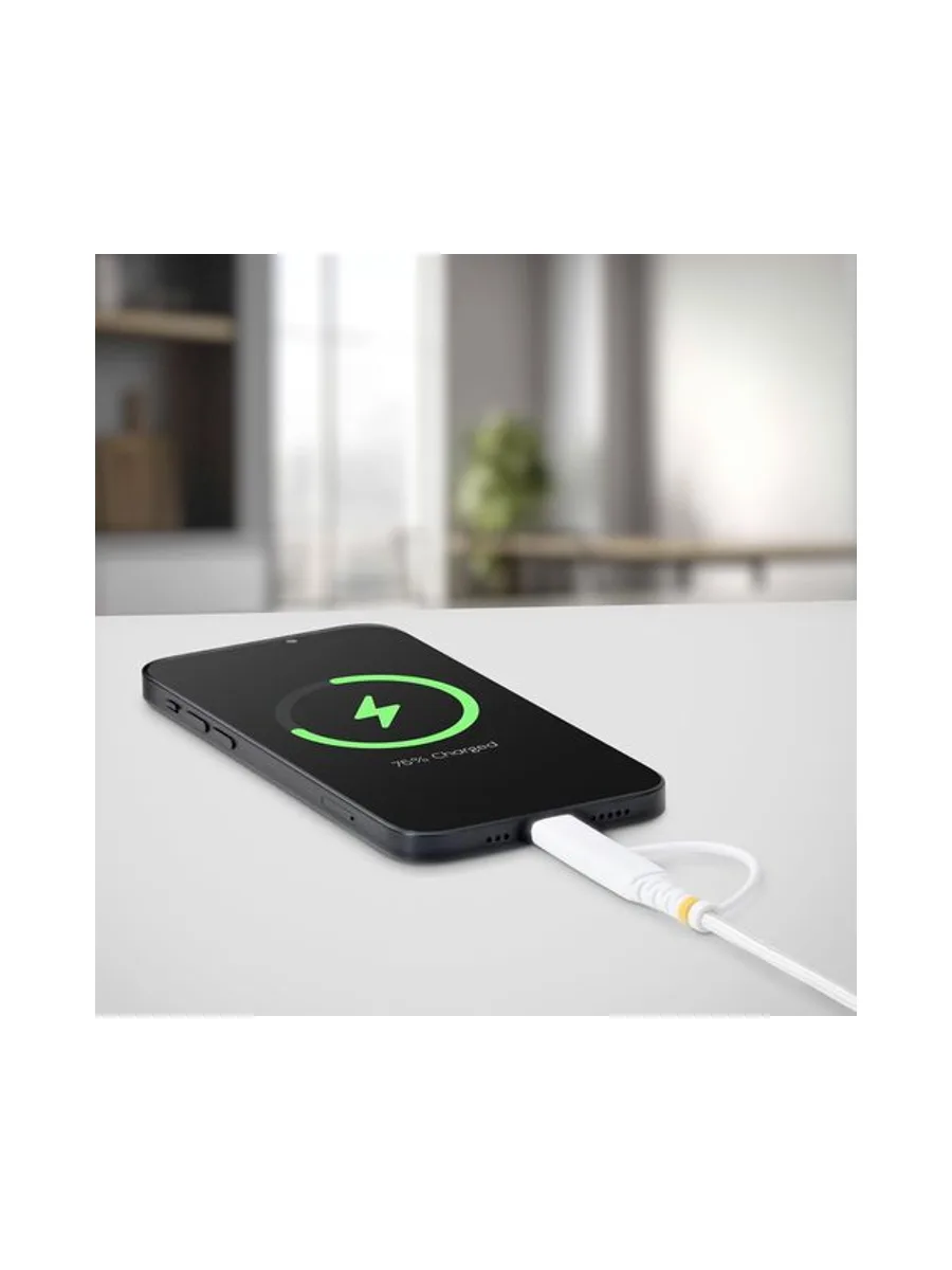 1m 3.3ft USB-C Cable with Lightning 3