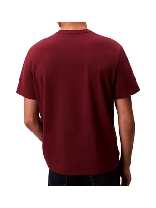 T-Shirt Bordeaux Homme Calvin Klein Jeans Hero LV04RB862G 2