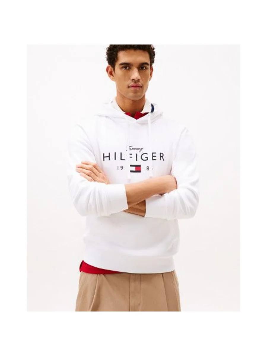 Sweat-shirt TOMMY HILFIGER MW0MW41427 4