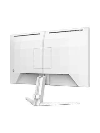 Philips 23.8' 16:9 Fast IPS 260Hz 9