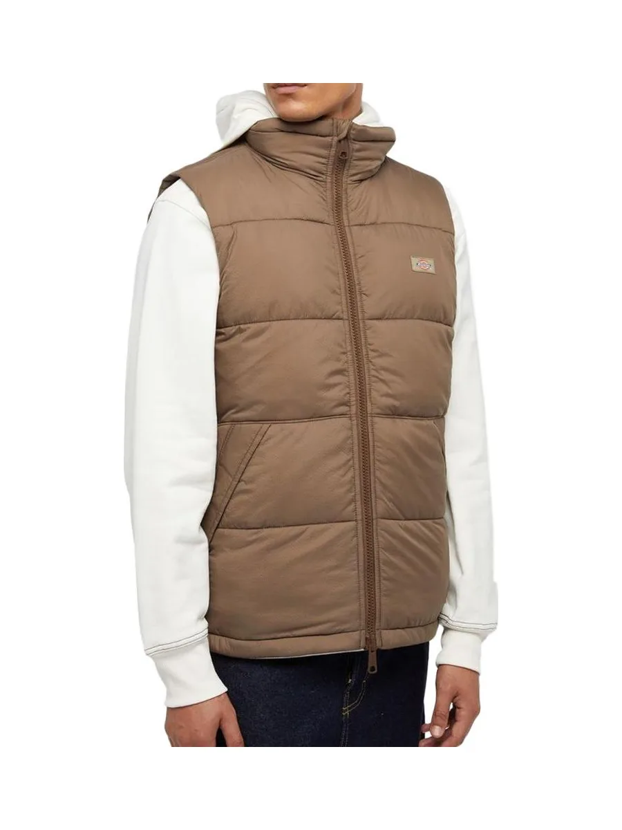Doudoune sans manche Marron Homme Dickies Waldenburg 2
