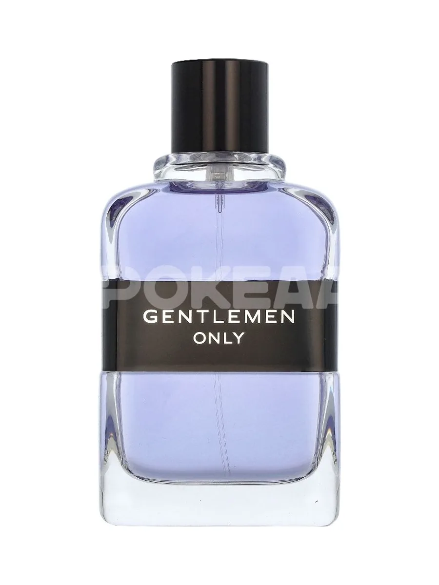 Givenchy Gentlemen Only Edt Spray 100ml 2