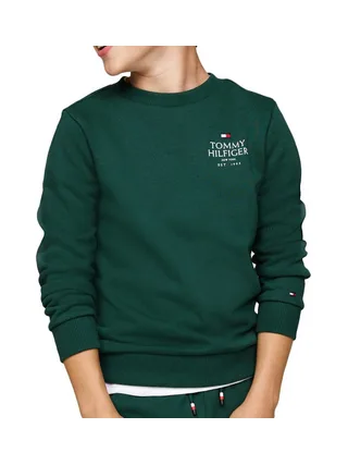 Sweat Vert Garçon Tommy Hilfiger Logo Puff 1