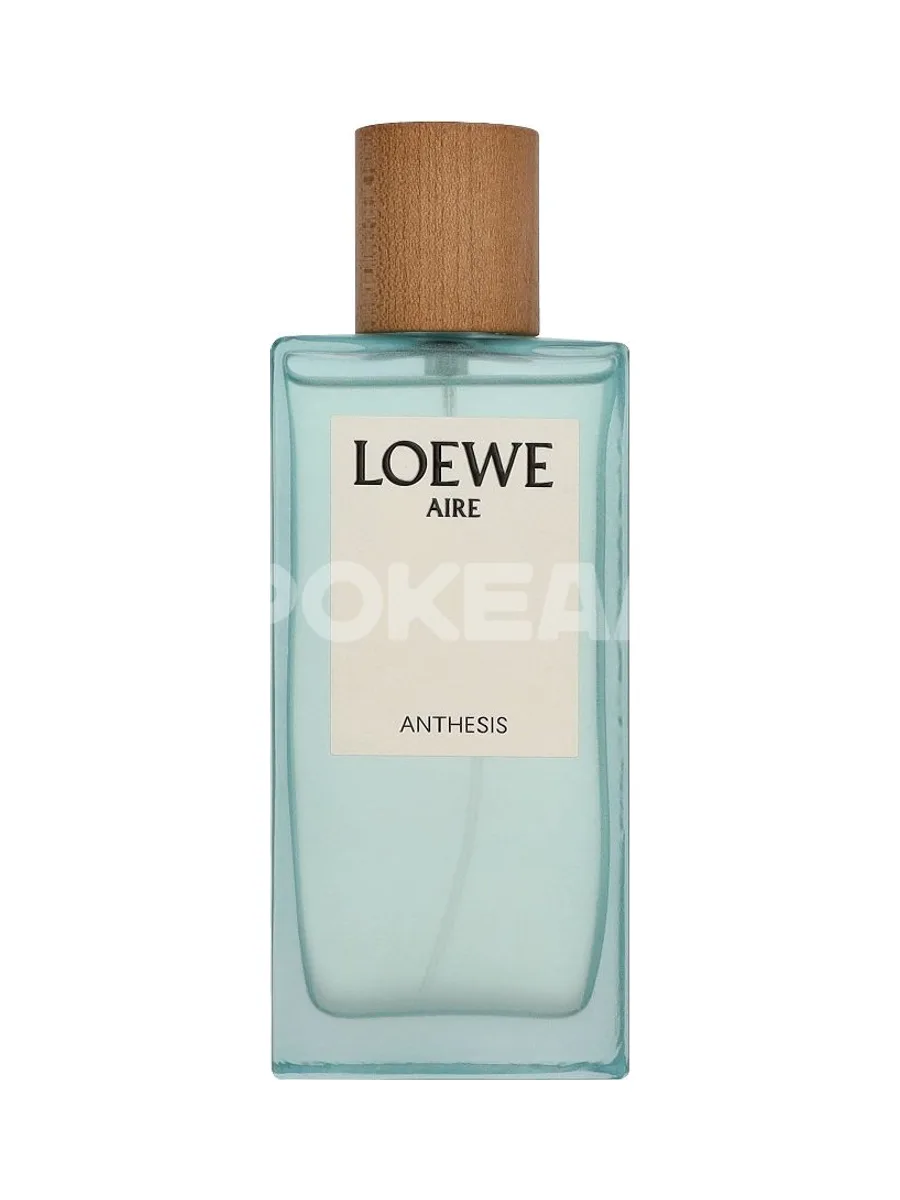 Loewe Aire Anthesis Edp Spray 100ml 2