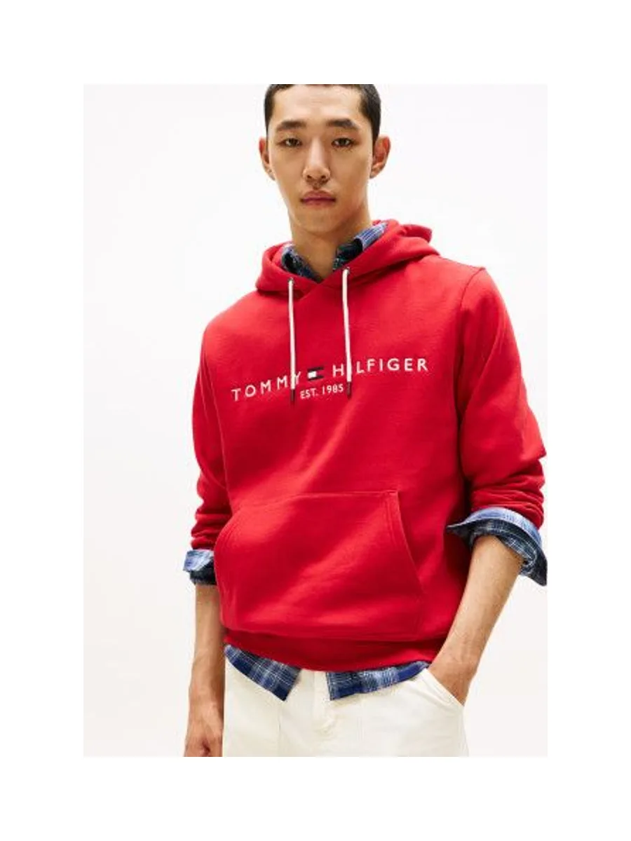 Sweat-shirt TOMMY HILFIGER MW0MW11599 2