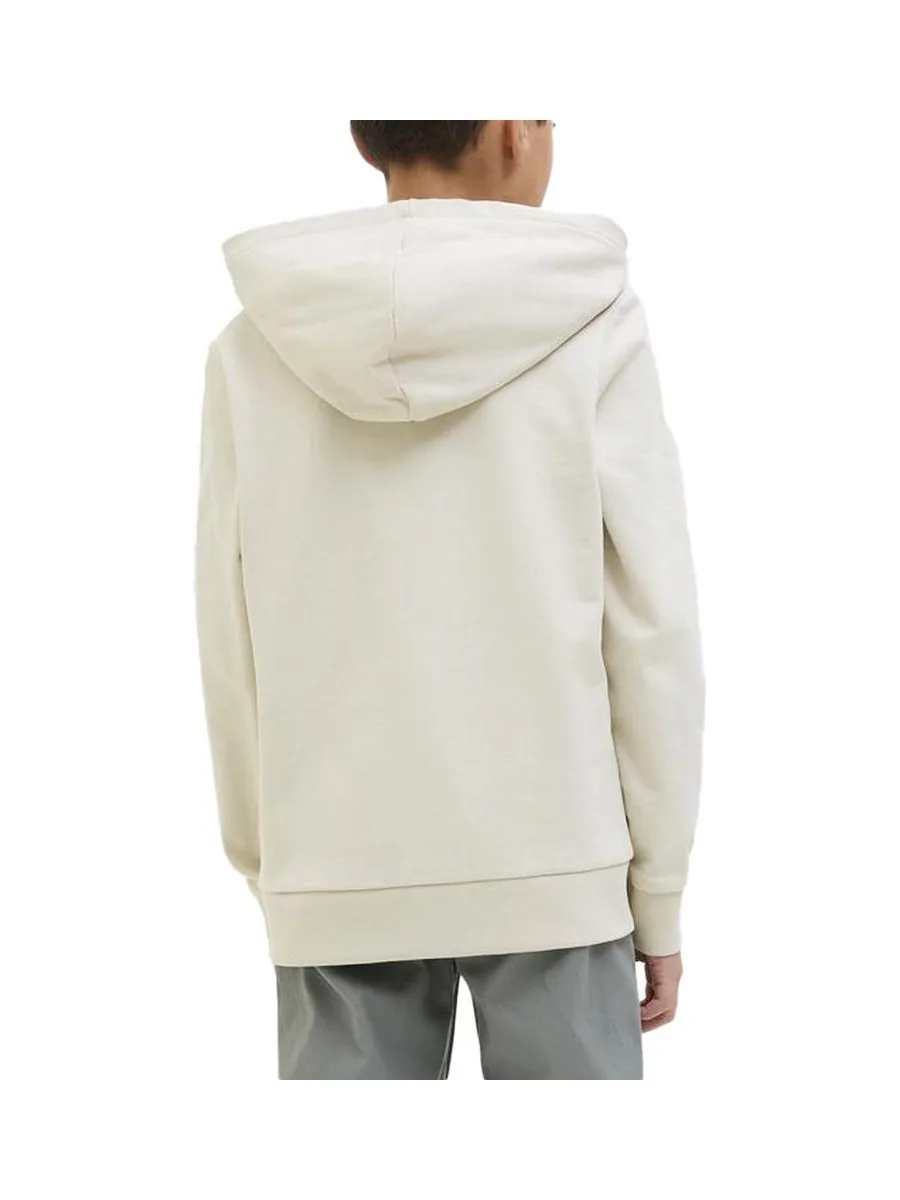 Sweat Beige Garçon Jack & Jones Bryan 2