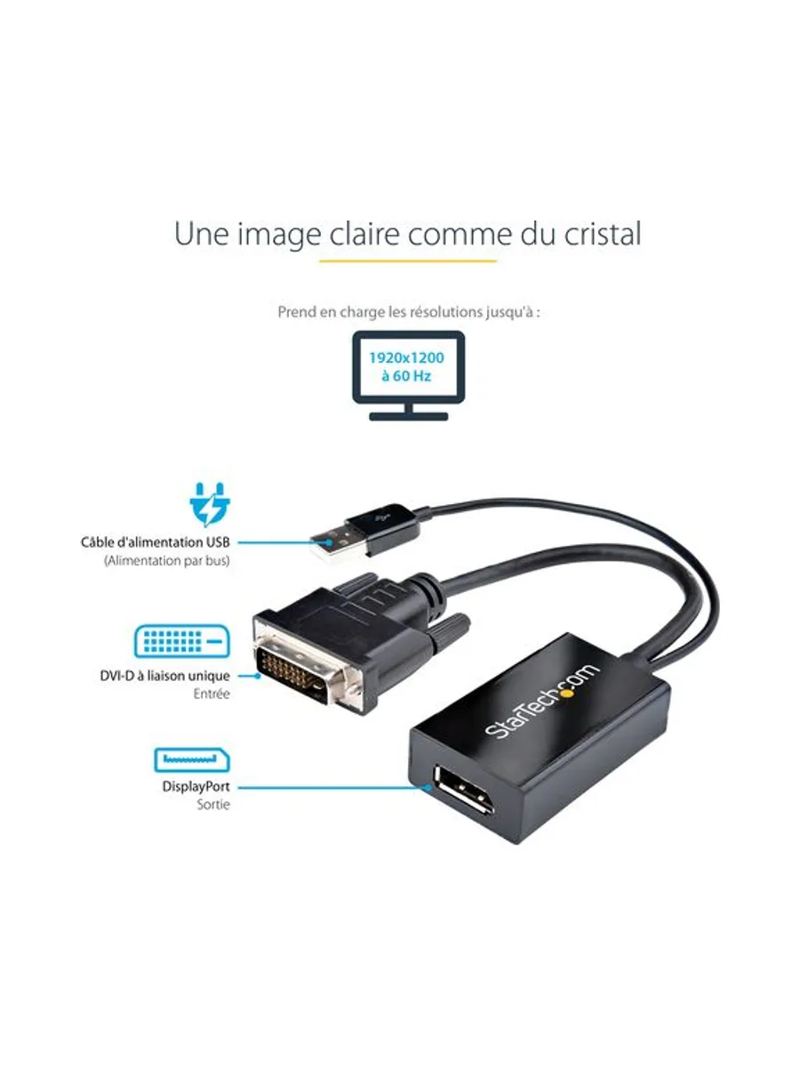 DVI to DisplayPort Adapter - USB Power 12
