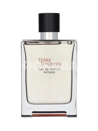 Hermes Terre D'Hermes Eau Intense Parfum Spray 100ml 2