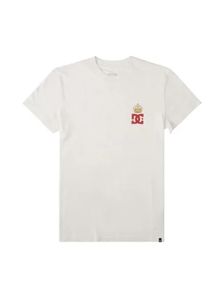 T-Shirt Gris Homme Dc shoes Hills 1