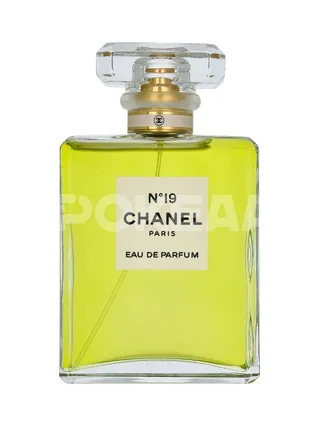 Chanel No 19 Edp Spray 100ml 2
