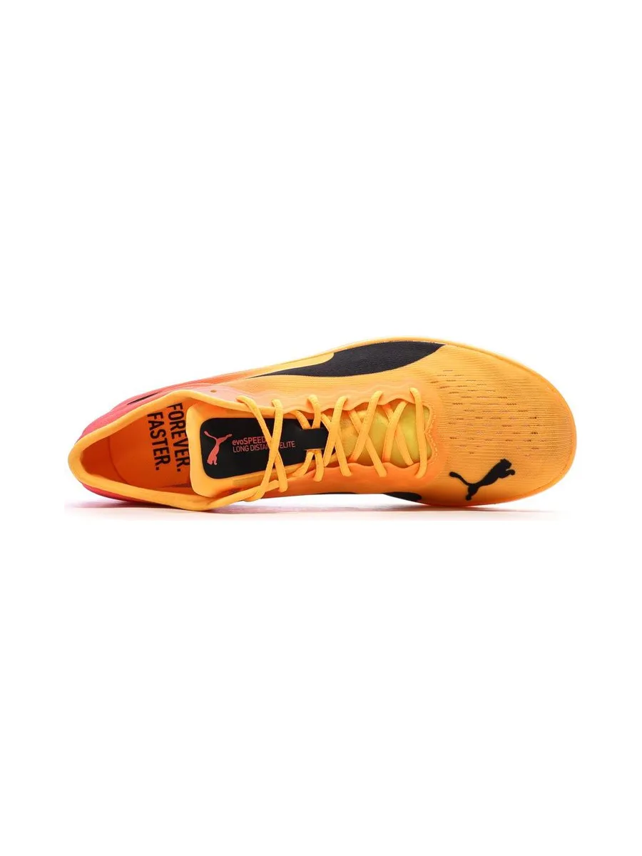 Chaussures d'athlétisme Jaune/Rose Homme Puma Evospeed Long Distance Nitro Elite 2 5