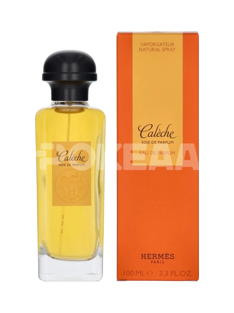 Hermes Caleche Soie De Parfum Edp Spray 100ml 1