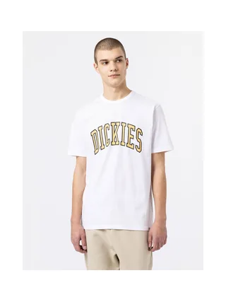 T-shirt DICKIES DK0A4X9F 1
