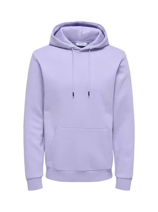 Sweat à Capuche Lilas Moyen Homme Only & Sons Ceres 3