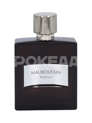 Mauboussin Pour Lui Edp Spray 100ml 2