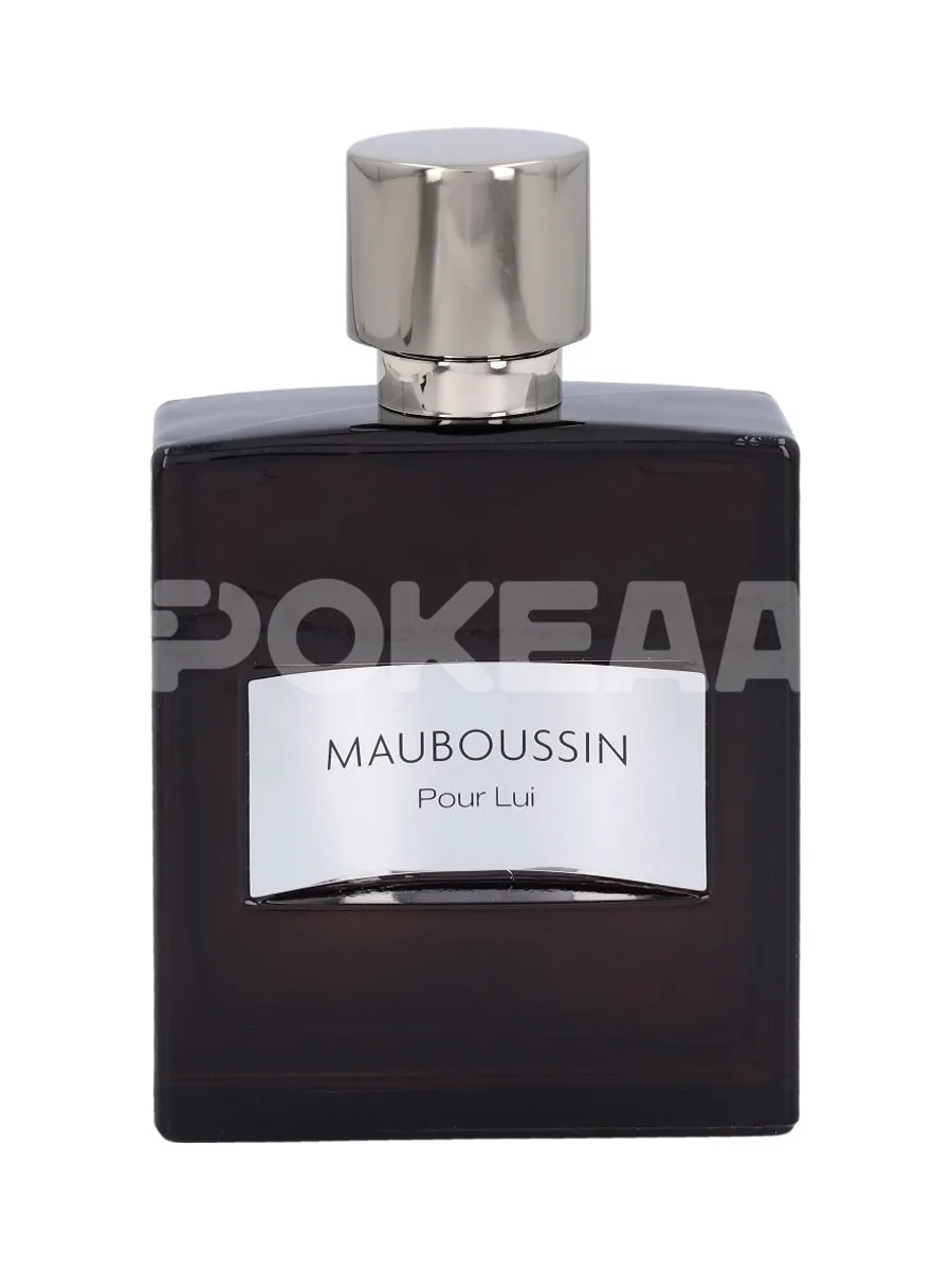 Mauboussin Pour Lui Edp Spray 100ml 2