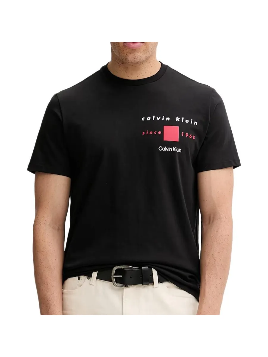 T-Shirt Noir Homme Calvin Klein Jeans Ckny 2