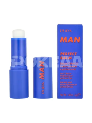 Pupa Man Perfect Balm Perfect Balm Man 4g - Transparent 1