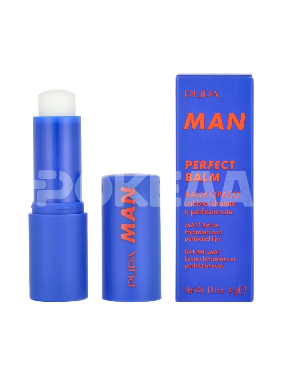 Pupa Man Perfect Balm Perfect Balm Man 4g - Transparent 1