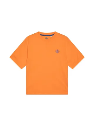 T-Shirt Orange/Marine Garçon Timberland T60424 Nectarine 1