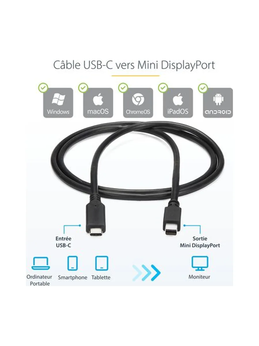 Cable USB C to Mini DisplayPort 1m/3ft 8