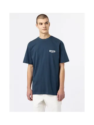 T-shirt DICKIES DK0A4XO4 5